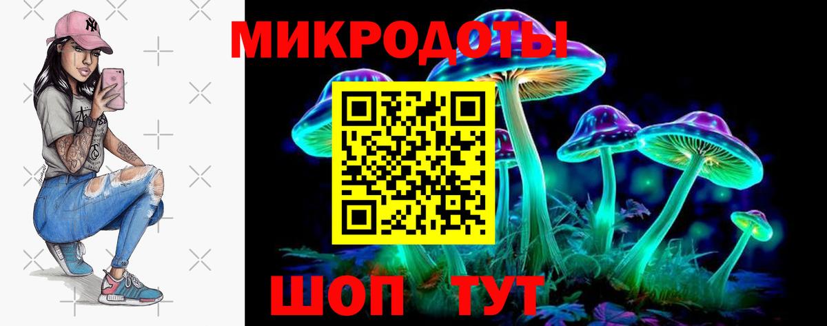 Новосибирск  Псилоцибиновые грибы прущие грибы  Вход с VPN 